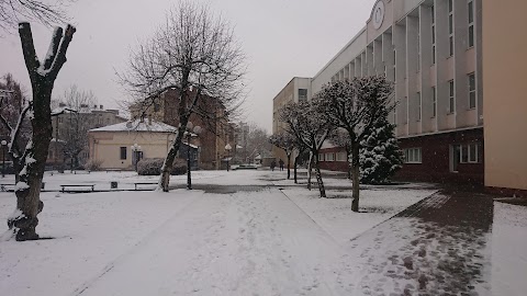 Прикарпатський національний університет ім. В. Стефаника