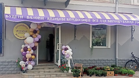 Студія Квітів Фан-Фан