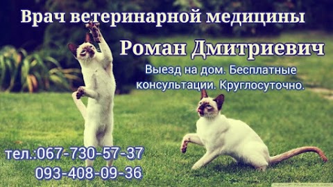 Ветеринар на дом (093)408-09-36