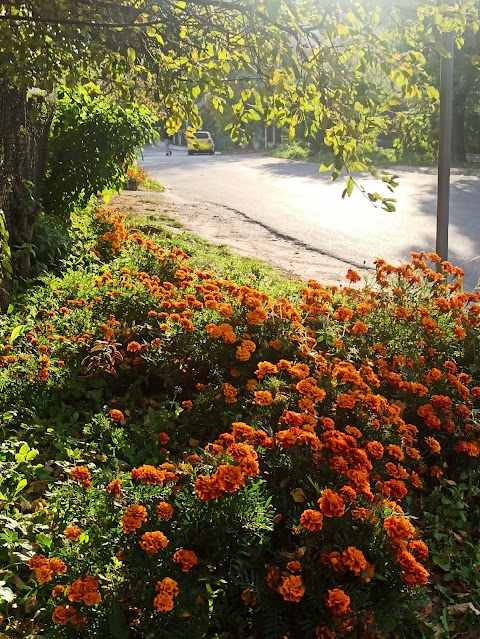 Піскові озера, Львів