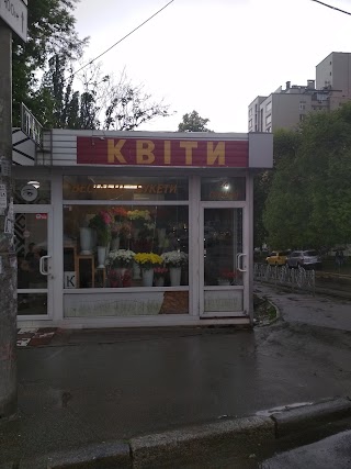 Квіти