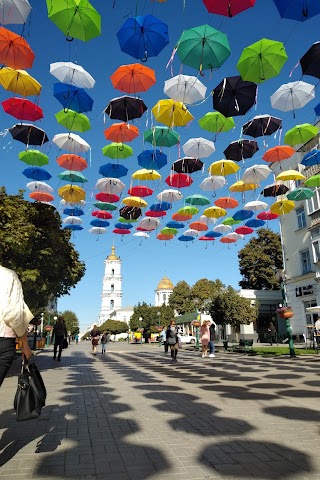 Цветные зонтики. Кольорові парасольки. The colour umbrellas.