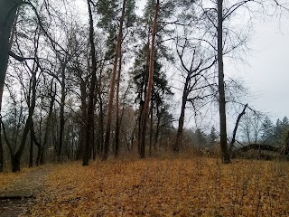 Парк-пам’ятка садово-паркового мистецтва місцевого значення «Веретенівський»