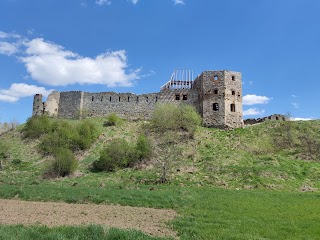 Пнівський замок