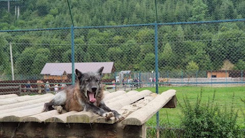 Екопарк Долина Вовків