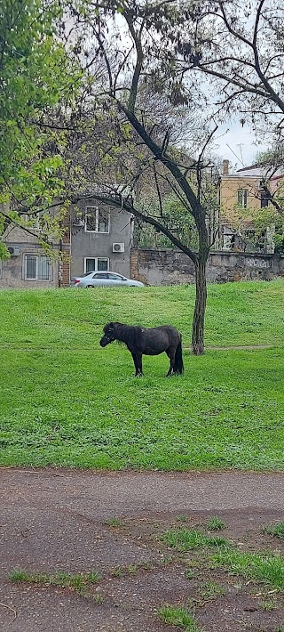 Сквер Книпович