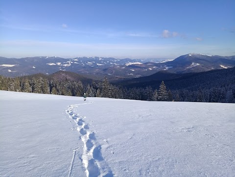 Полонина Борсучина