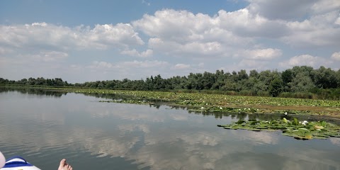 ПАНСИОНАТ "Гармонія"