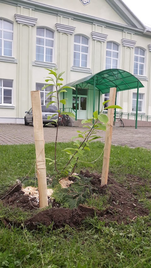 Нежухівська СЗШ І-ІІІ ст