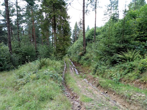 Церква Успіння Пресвятої Богородиці