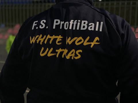 Футбольная школа F.S. ProffiBall