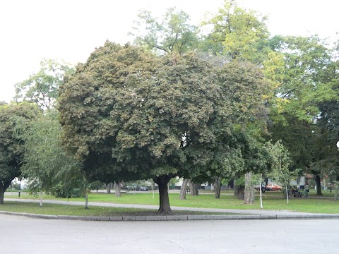 Ігорів камінь