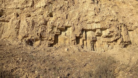 Олександрівський заказник