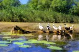 Національний Гетьманський Парк