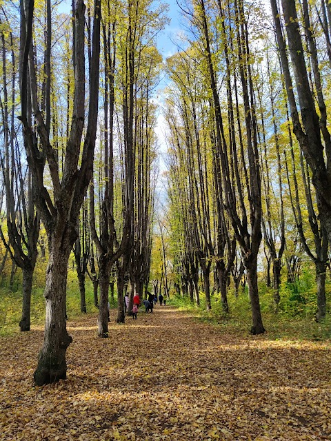 Шарівський парк