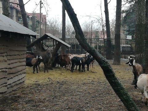 Маленький зоопарк