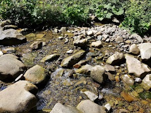 Водограй на струмку Багрівець