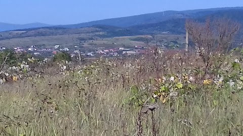 ВЕЛИКОБАКТАНСЬКИЙ ДОШКІЛЬНИЙ НАВЧАЛЬНИЙ ЗАКЛАД І-ІІ СТУПЕНІВ