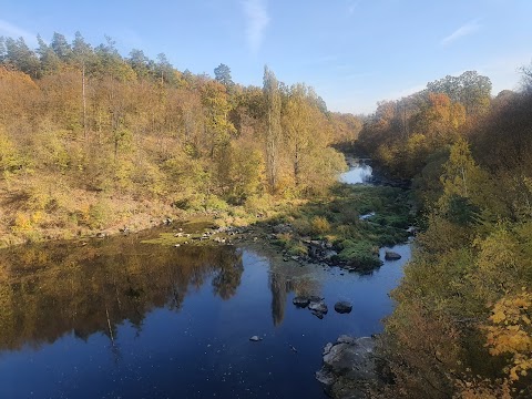 Заповідні дуби