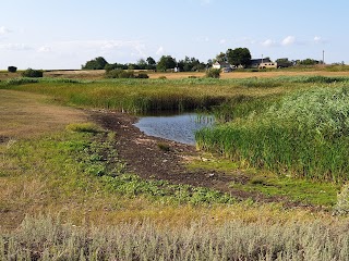 Велизаровский ставок