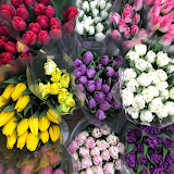 Квіткова крамниця Квіти