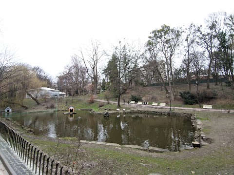 Стрийський парк, лебедине озеро