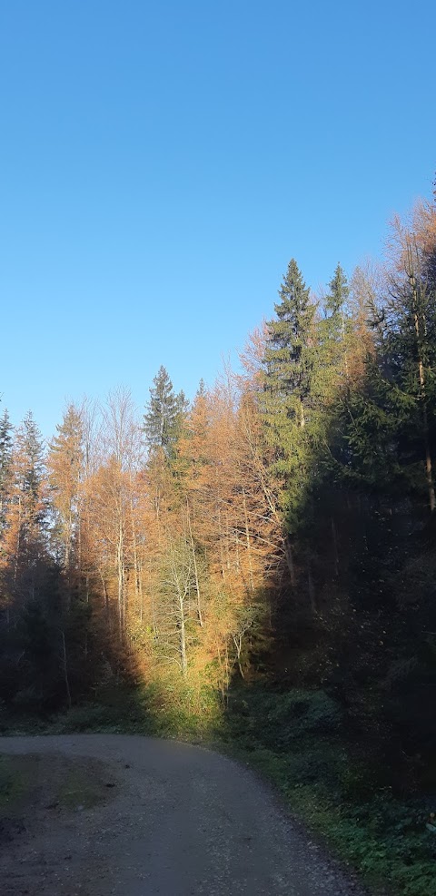 Водограй на струмку Багрівець