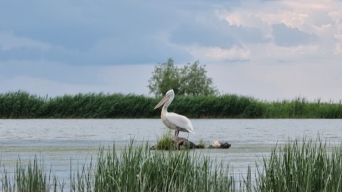 Камбоджа на Дунаї