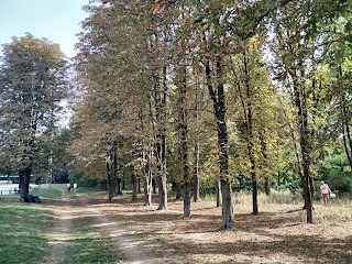 Парк ім.Т.Шевченка