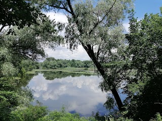 Хортицькі плавні