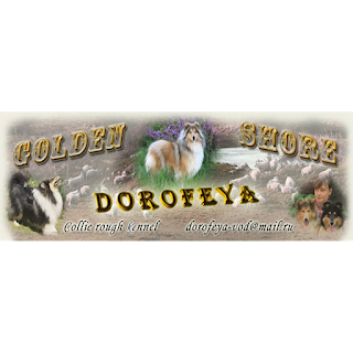 DOROFEYA - Golden shore