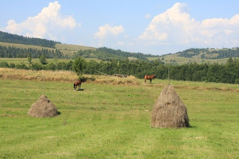 На горбі