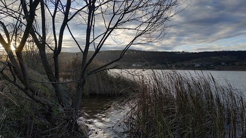 Зашківське водосховище