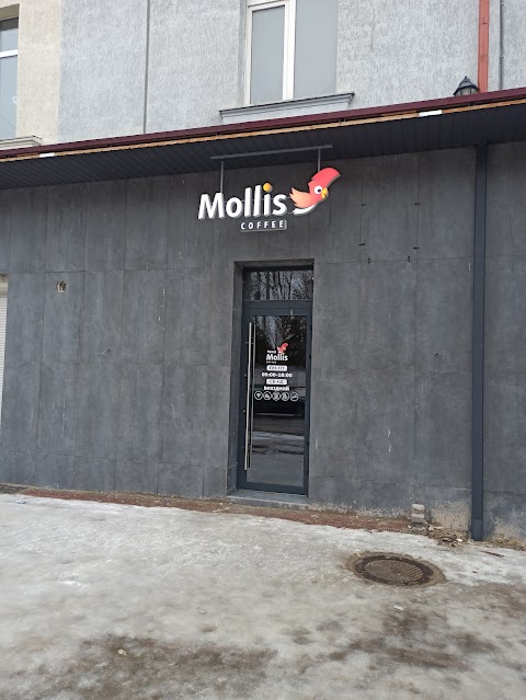 Mollis coffee