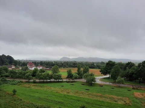 Пнівський замок