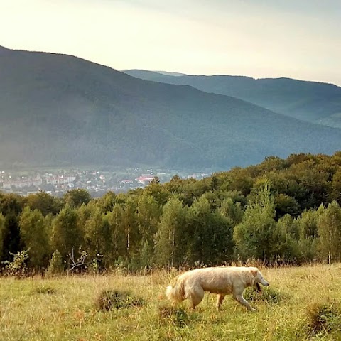 Скульптура Діви Марії