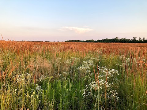 Петропавлівський лісостеп