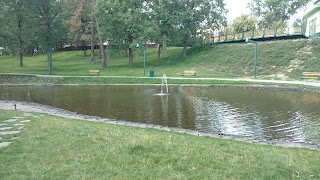 lake fountain