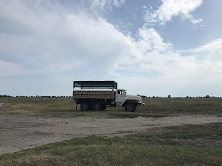 Экскурсия в Геродотов лес и на озёра (сафари)