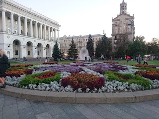 Студія букетів "Мускарі"