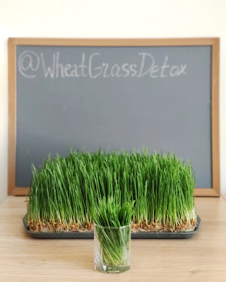 WheatGrassDetox