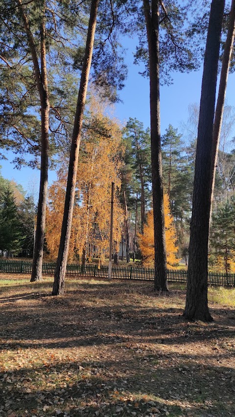 Піщанське лісництво