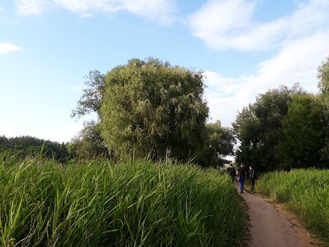 Педагогічний університет