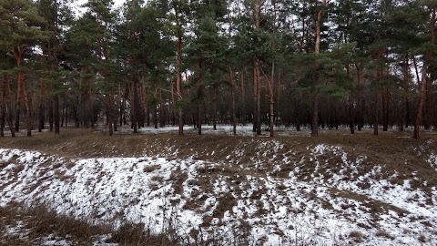 Кавалерійське юнкерське училище