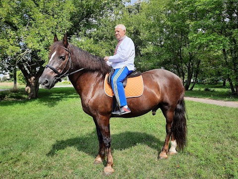 Боярський кінний клуб "Вояж"