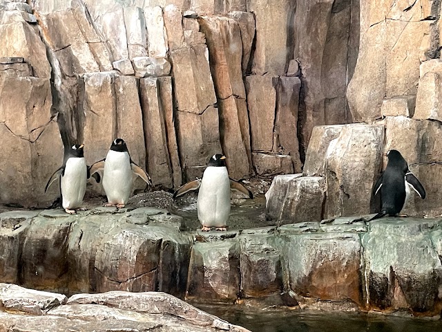 Biodôme de Montréal