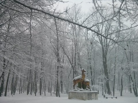 Міський парк ім.Кирила Трильовського