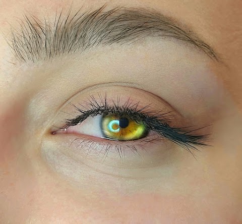 Lash & Brow Zone