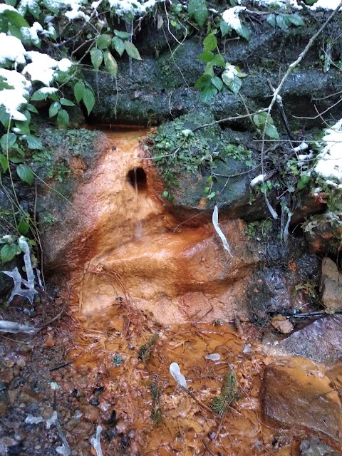 Джерело залізної води