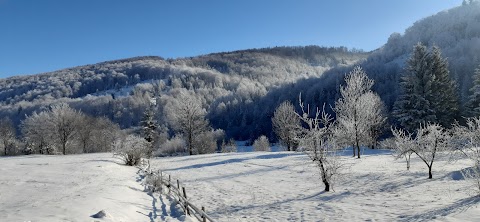 Садиба Карпатський затишок / САУНА